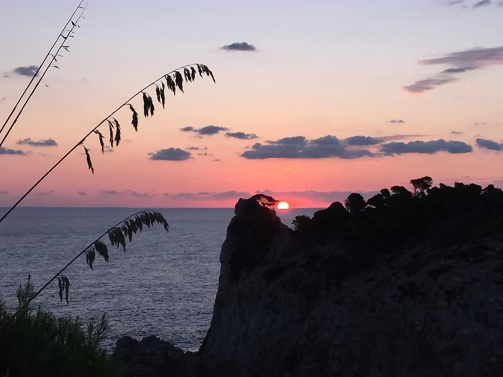 Ferienhaus L'Olla Cala Ratjada  Cala Ratjada (Mallorca)